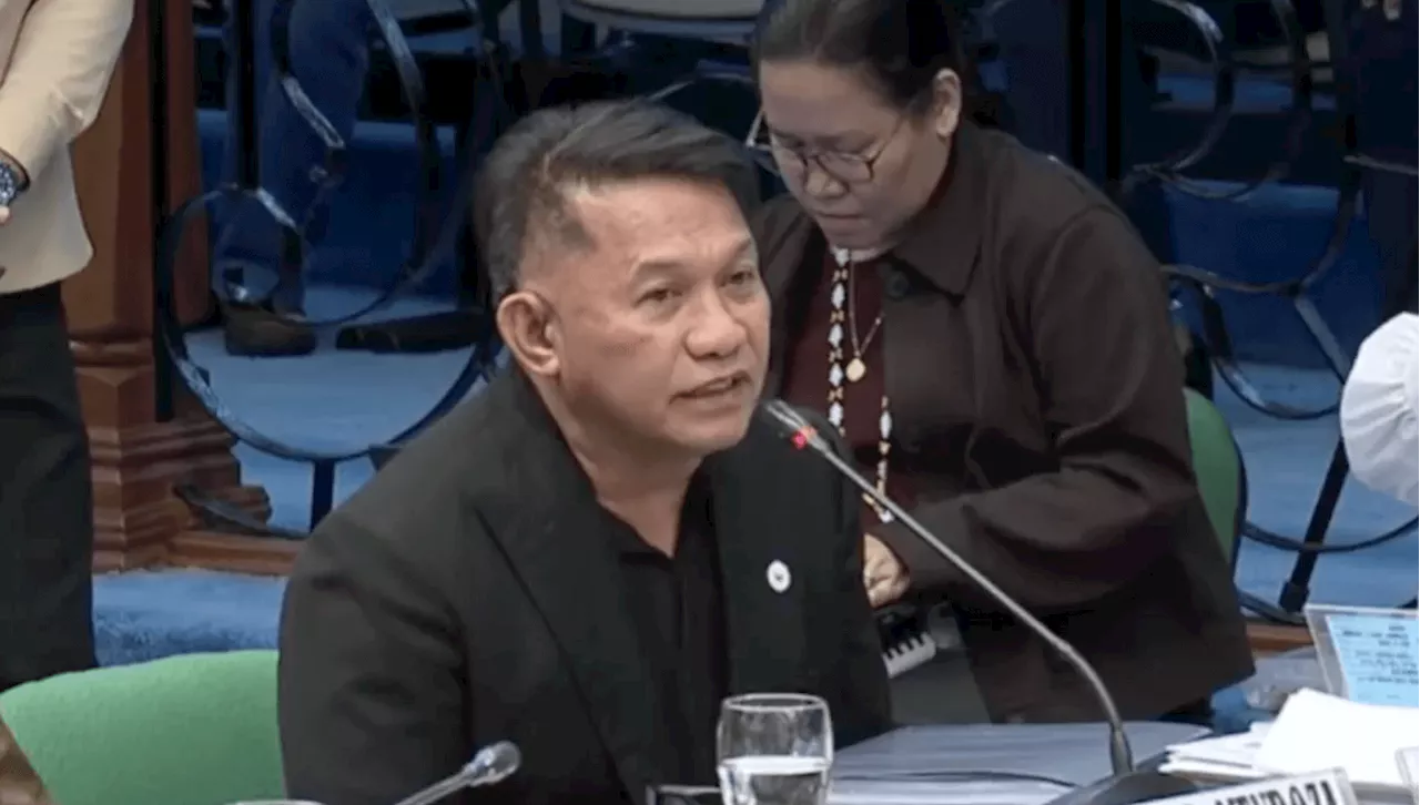 Who is Allan Quirante, top 4 flood control contractor on Marcos list?