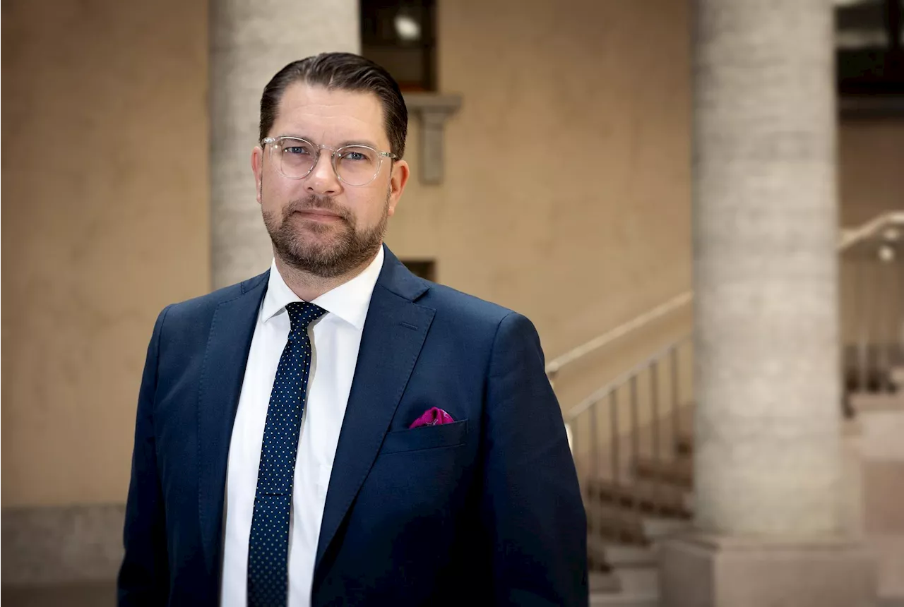 Åkesson om efterlysningen: Jag står inte bakom
