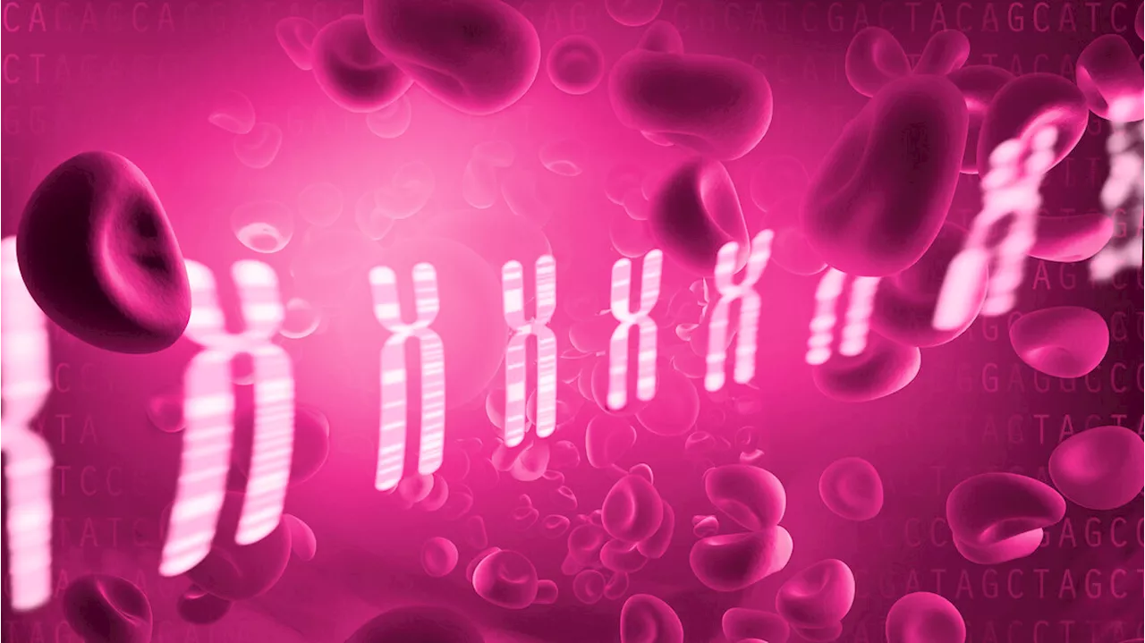 Freno molecolare blocca un tumore del sangue