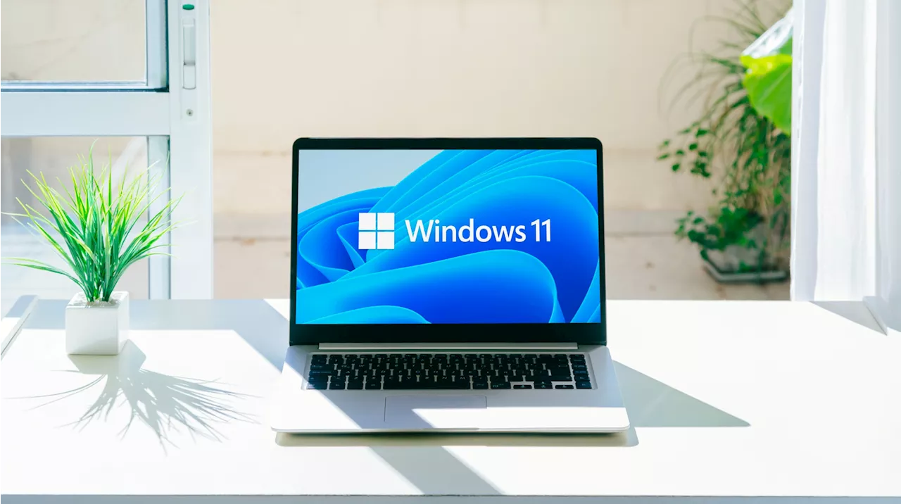 How To Clear Your Windows 11 PC's Cache (And Why You Should)