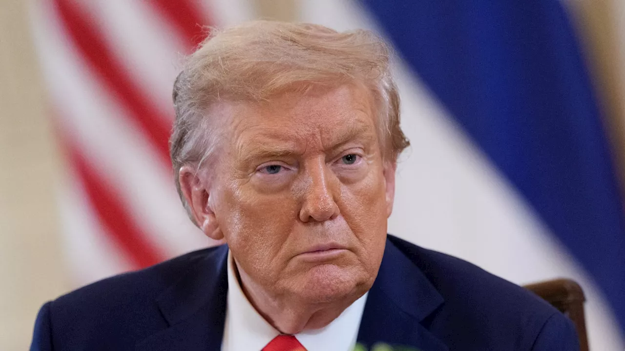 Trump has snapped up more than $100 million in bonds since taking office