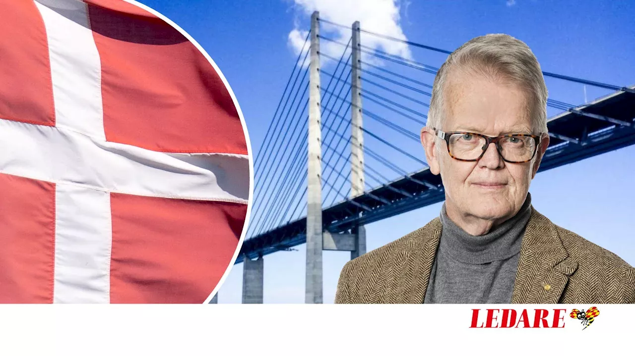 Öresundsbro 25 år: Integration och dumheter
