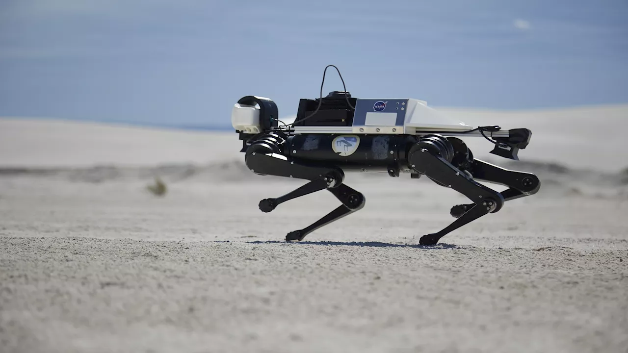 Dog-like robot trains on White Sands dunes to prepare for Moon and Mars missions