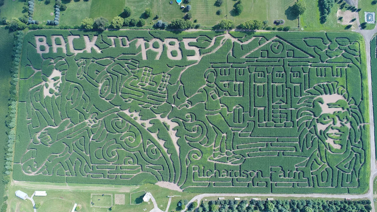 Richardson Adventure Farm goes ‘Back to the Future' with 2025 corn maze design