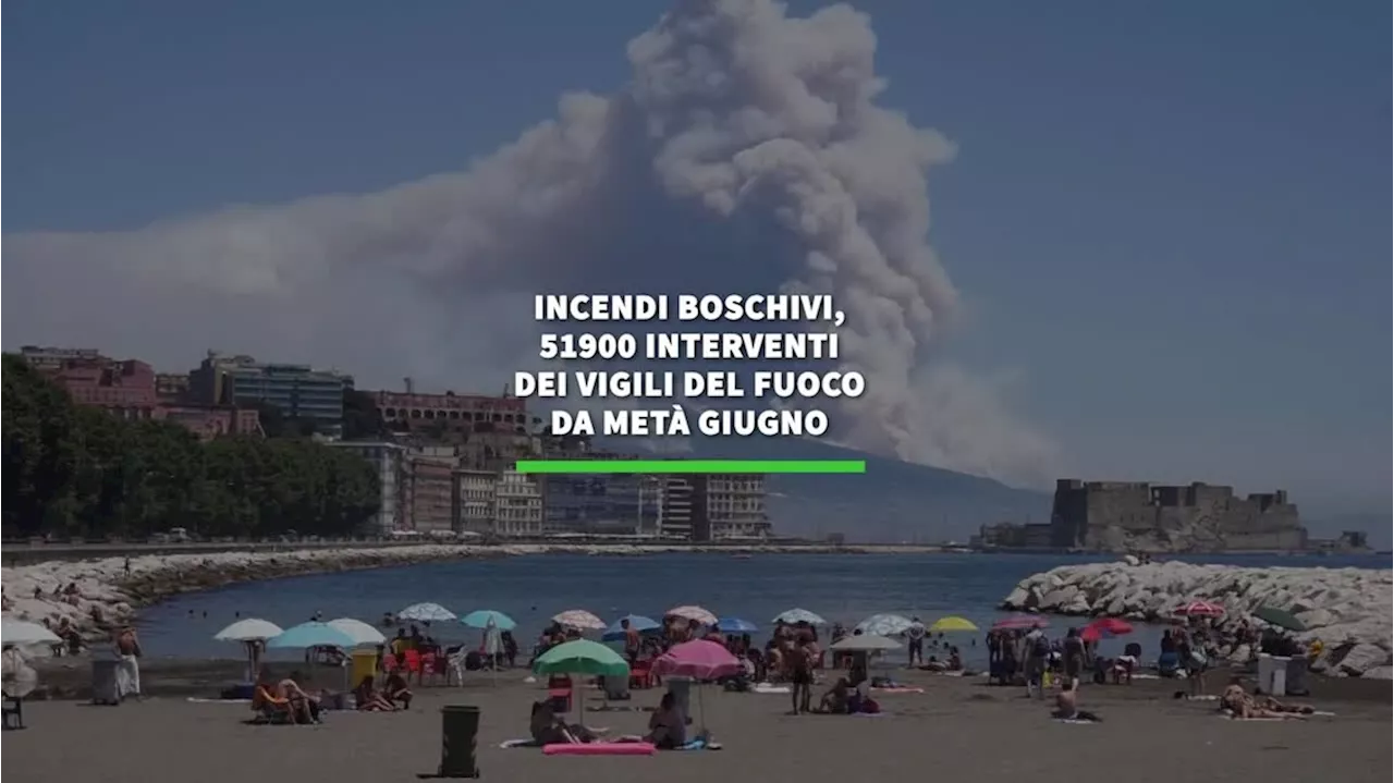Incendi boschivi, 51900 interventi vigili del fuoco da meta' giugno