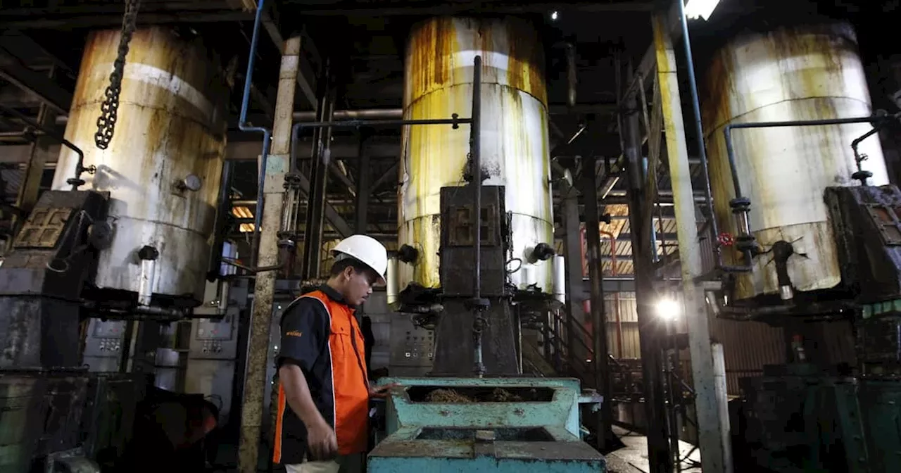 WTO panel backs Indonesia on several counts in biodiesel row with EU