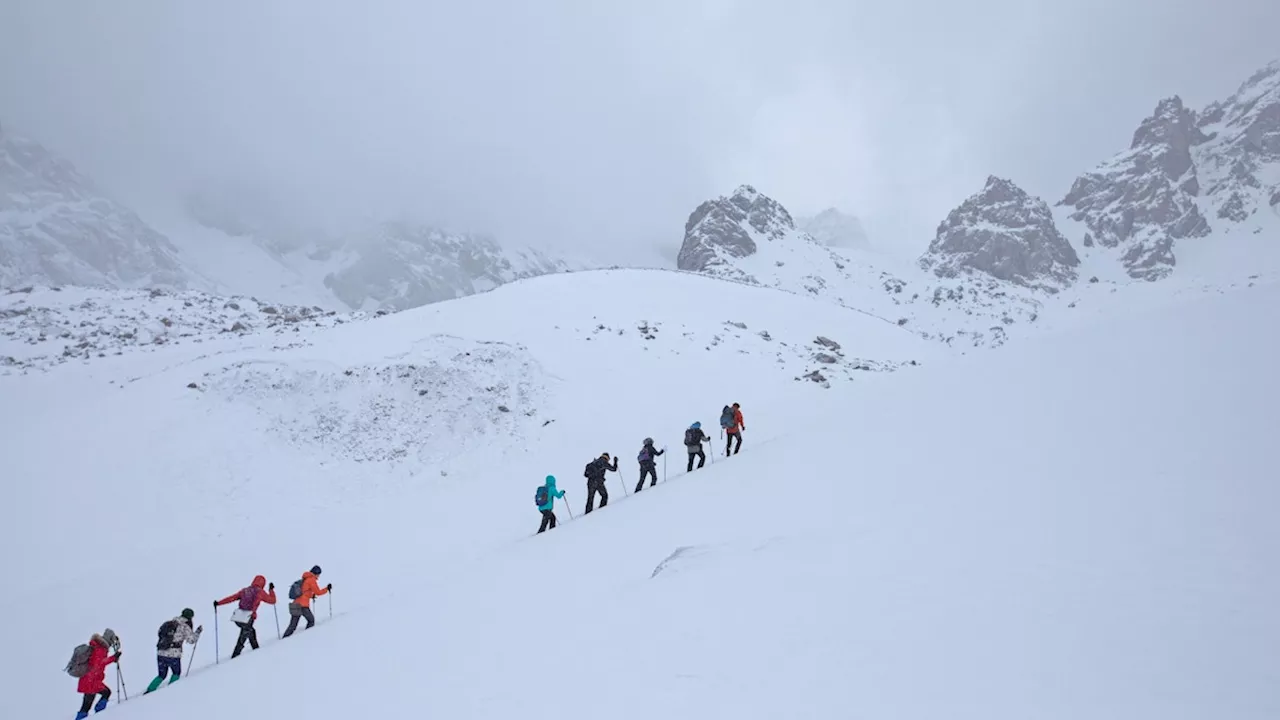 – Sie muss nun alleine am Berg sterben