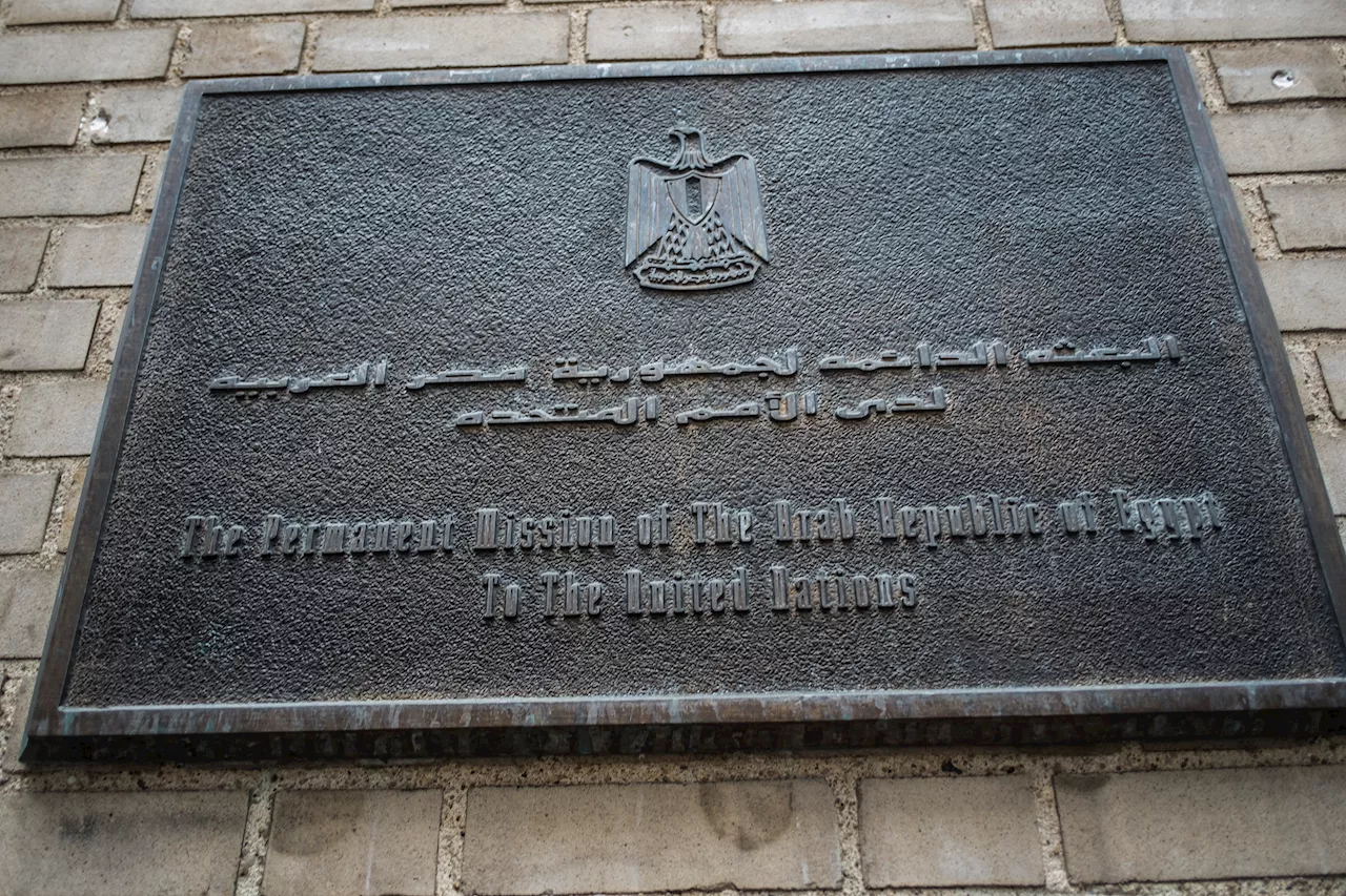 Video shows protesters forcibly pulled inside Egyptian Mission building in New York City