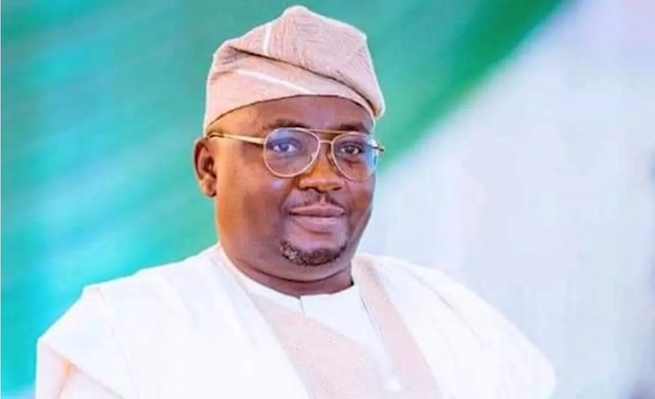 Adelabu: Nigeria to secure $190m renewable energy loan from JICA