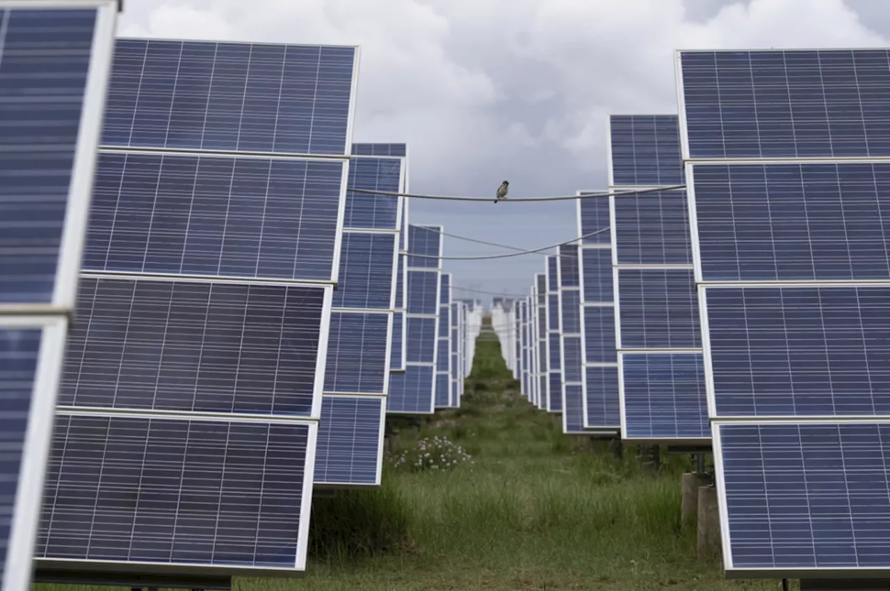 China races to build world’s largest solar farm