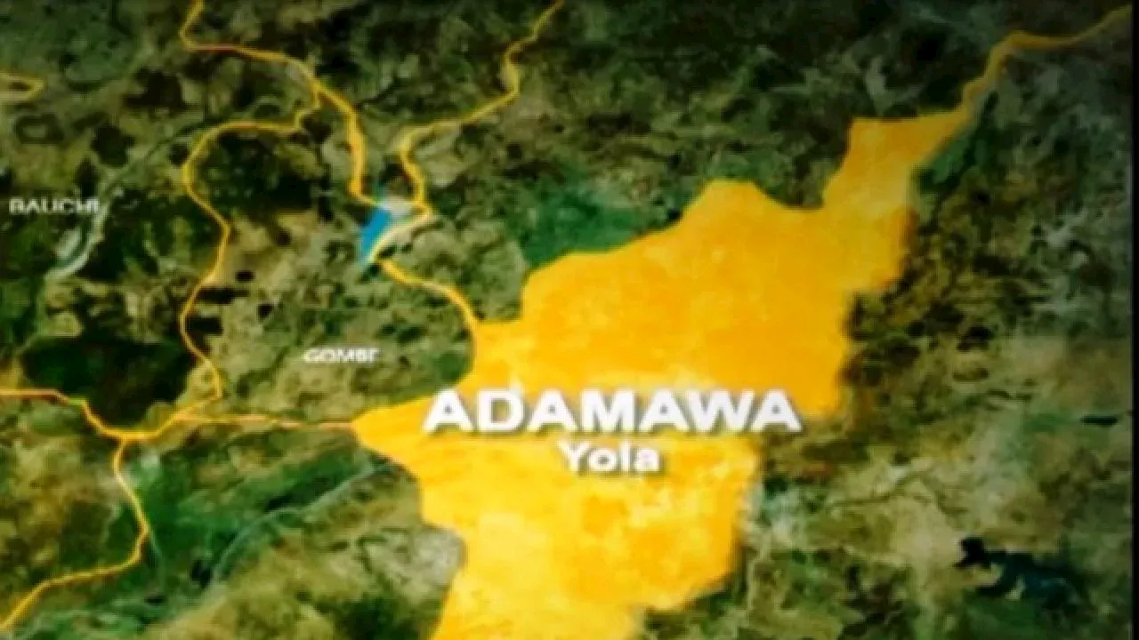 Crackdown on cattle rustling unearths secret slaughterhouse in Yola