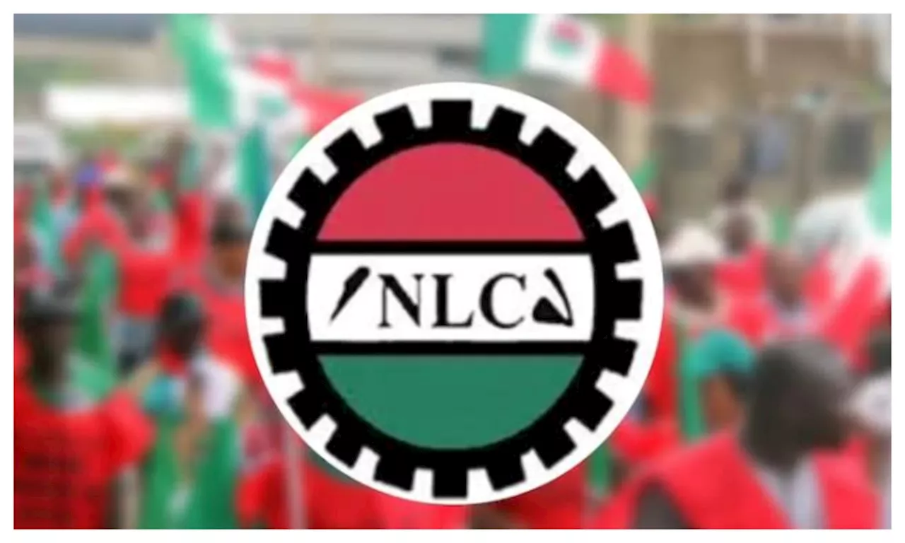 NLC seeks details of political office holders’ pay amid review rumours