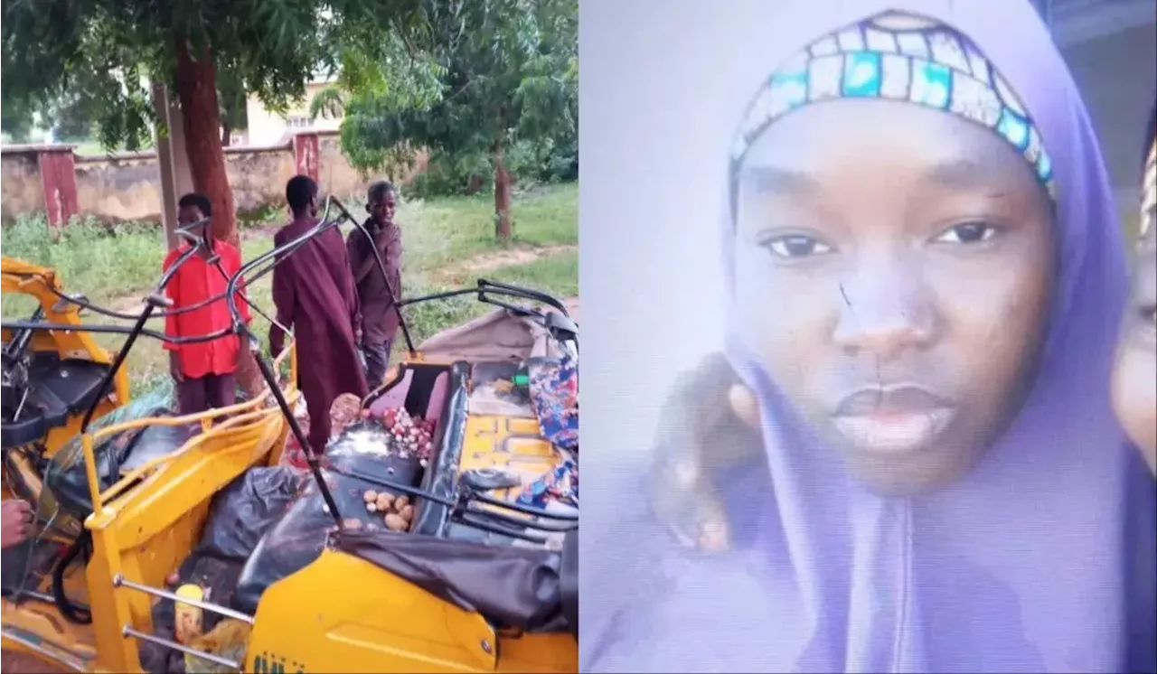 Yobe: Vehicle crushes 100 level student to death, injures four others