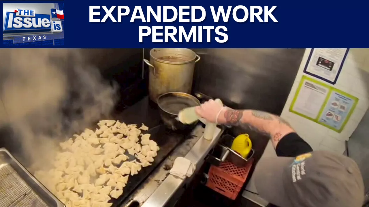 Revamping work permit programs | Texas: The Issue is: