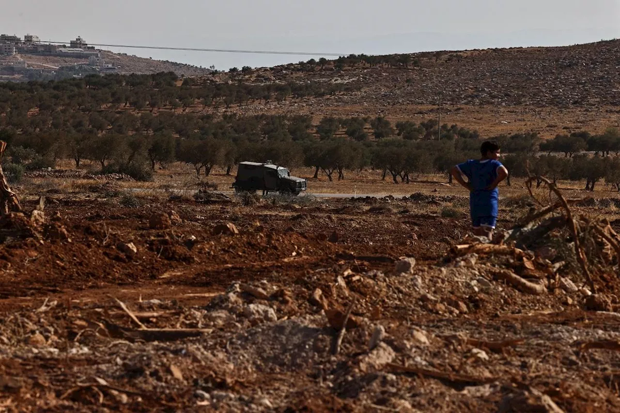 Israeli bulldozers uproot hundreds of trees in West Bank village