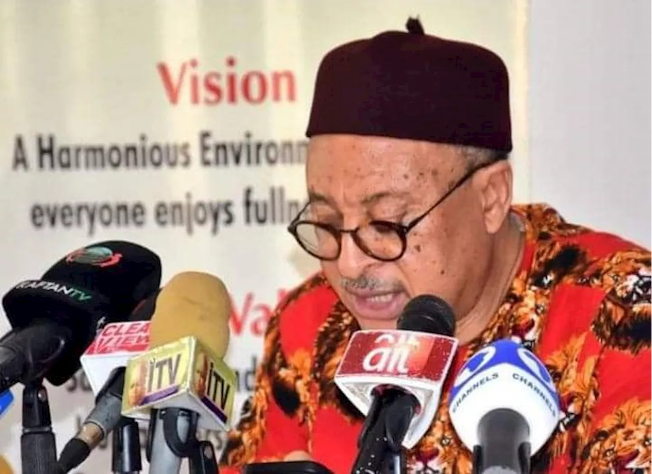'Sensible mantra' -- Utomi backs Obi's one-term presidency proposal