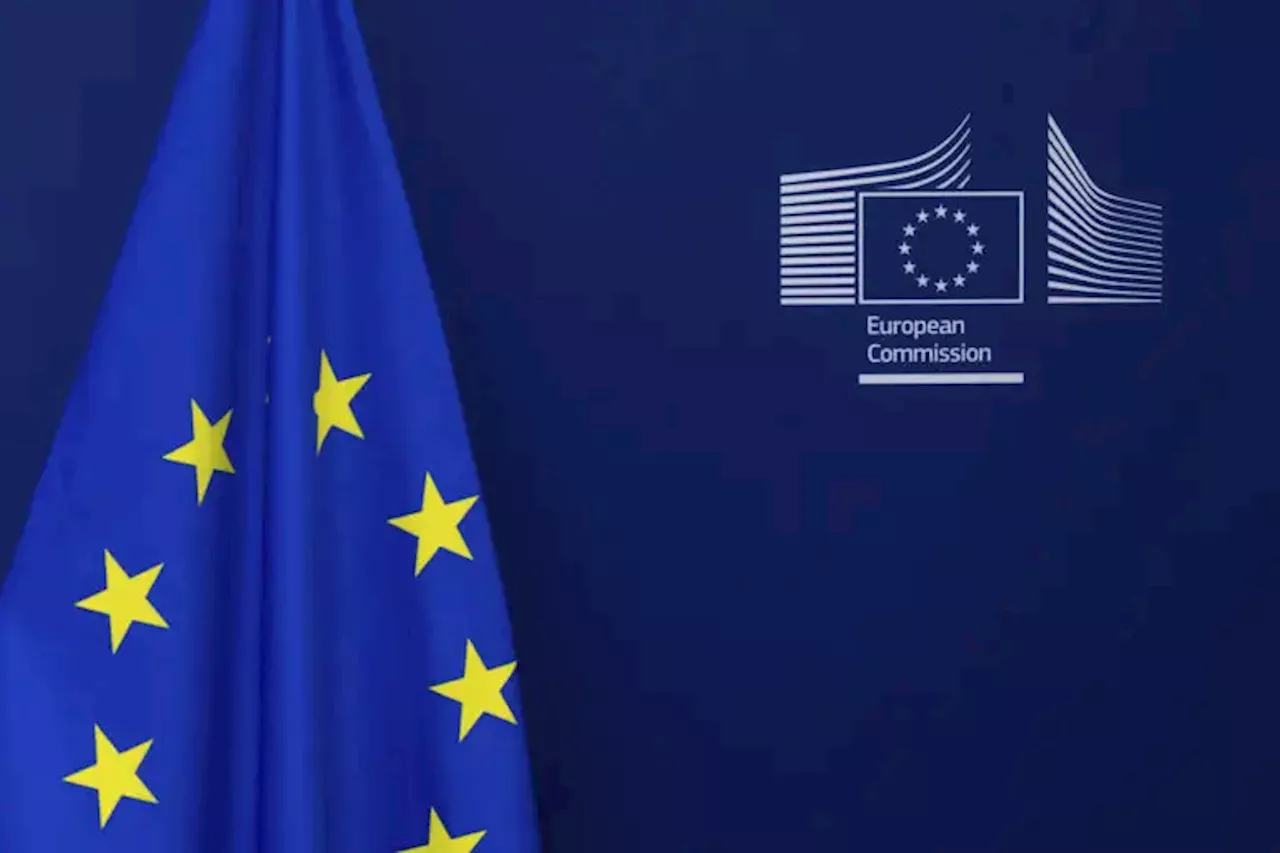 EU-Bericht zu sexueller Gewalt an Frauen: Hohe Opferzahl in Skandinavien erschüttert Bild der Gleichberechtigung