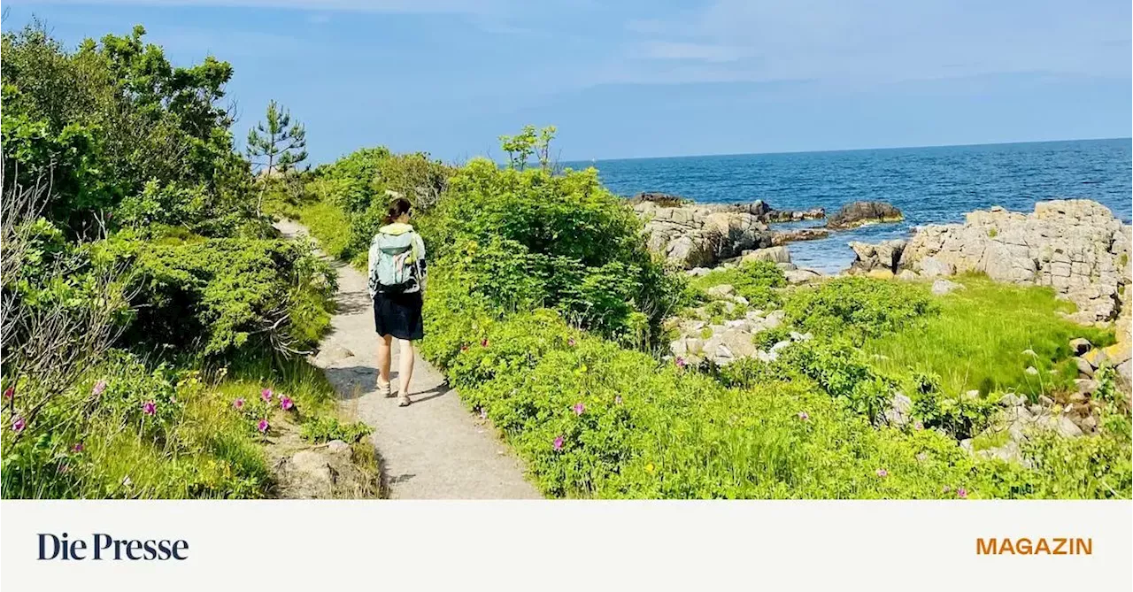 Bornholm: Coolcation auf Dänemarks abgelegener Insel