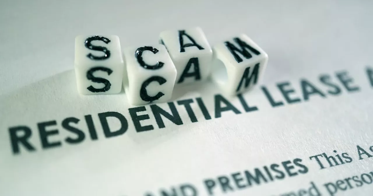 Students warned over rental scams ahead of CAO offers this week