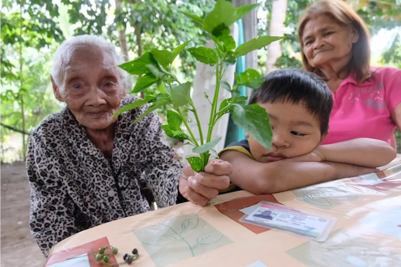 SPECIAL REPORT: Plant-based diet, farmwork are keys to longevity of Blaan elderly