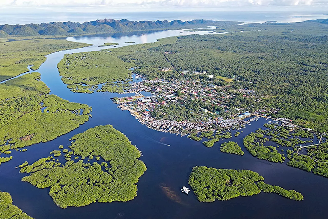 SPECIAL REPORT: Preserving the mangroves of Del Carmen