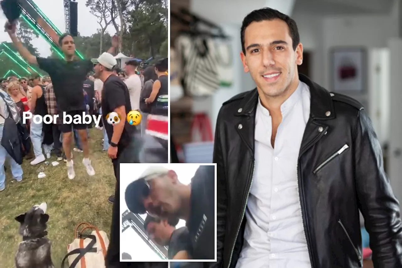 Tech CEO blasted as 'dog abuser' after he's captured helping friend bring husky into loud music festival