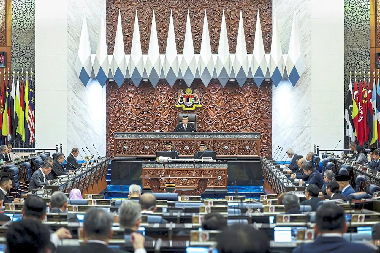 Allocations based on needs, not race, PM Anwar tells Dewan Negara