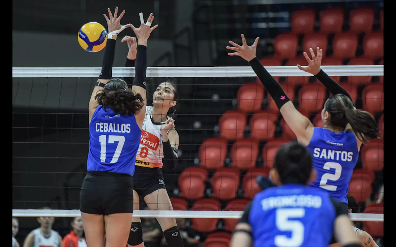 Cignal keeps PVL finals hopes alive with win over ZUS Coffee