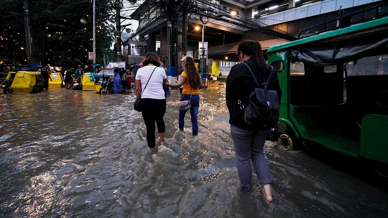 How to protect yourself from leptospirosis this rainy season