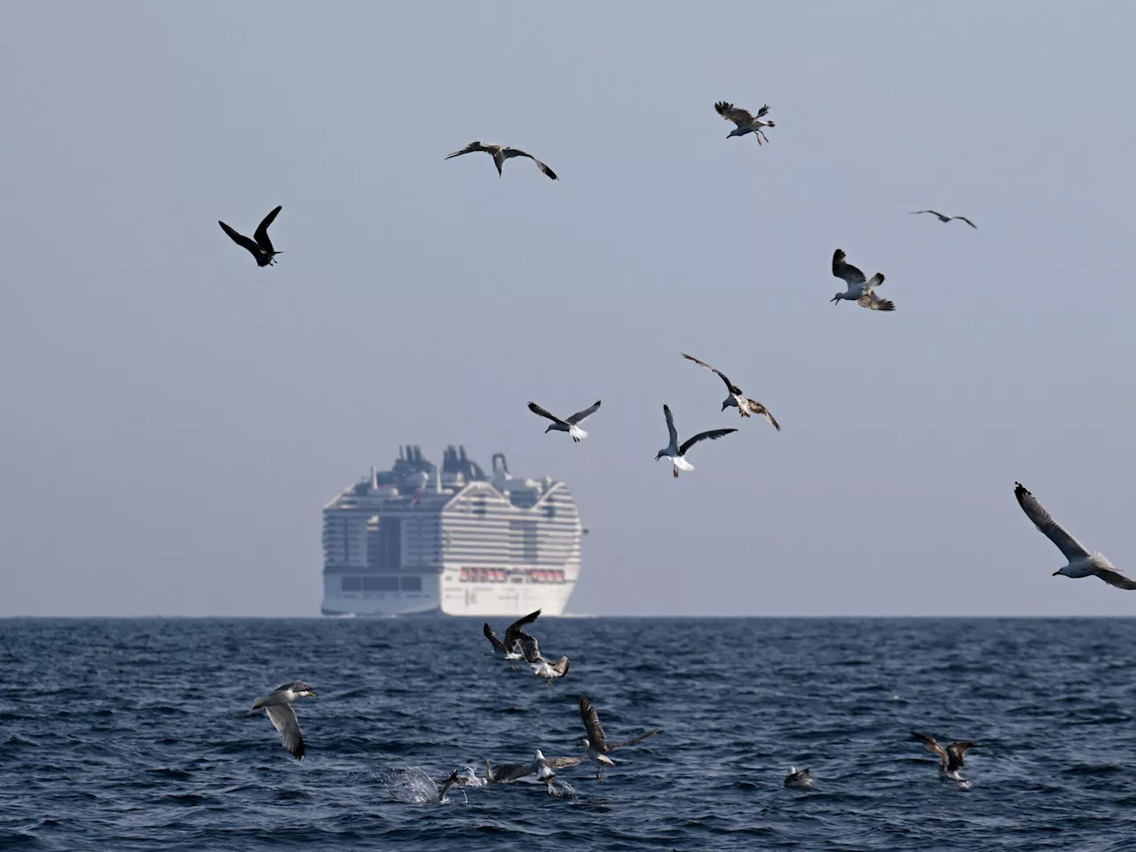 Kreuzfahrtschiff vor Italien havariert: MSC Cruises betroffen
