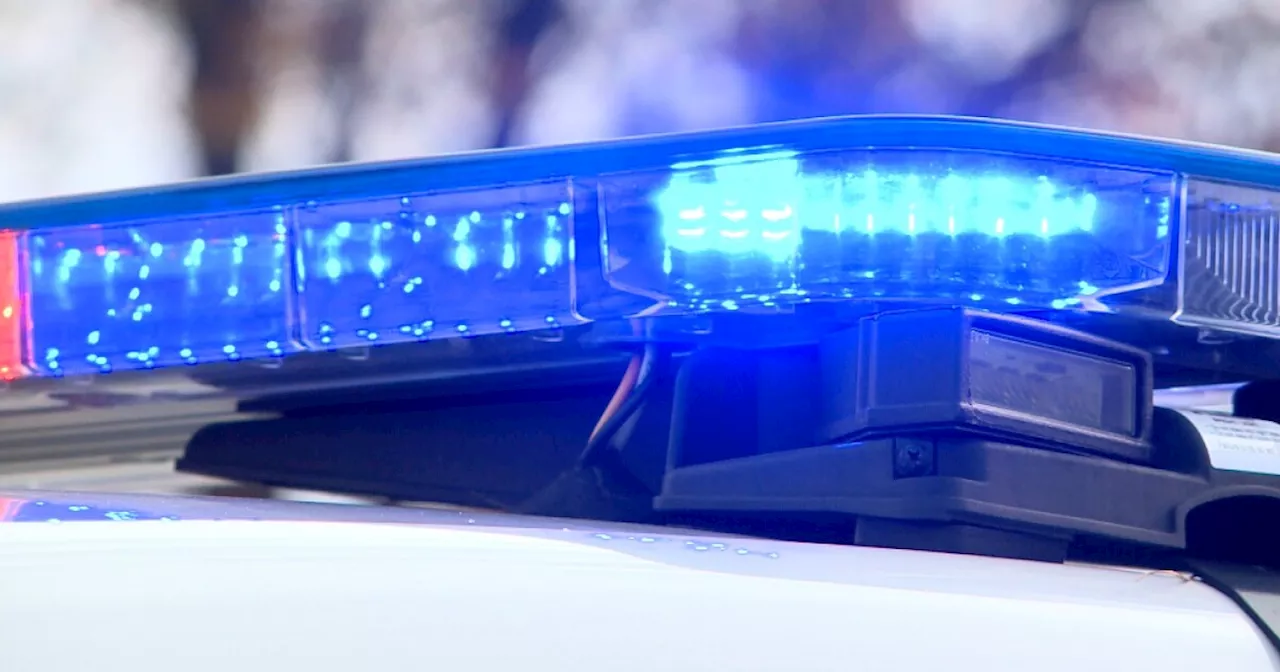 Victims of fatal San Diego-area traffic accidents ID'd