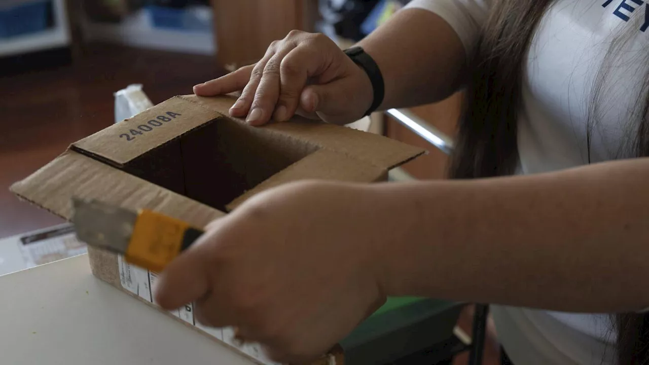 Small businesses and online shoppers prepare for the US to end 'de minimis' import tax exemption