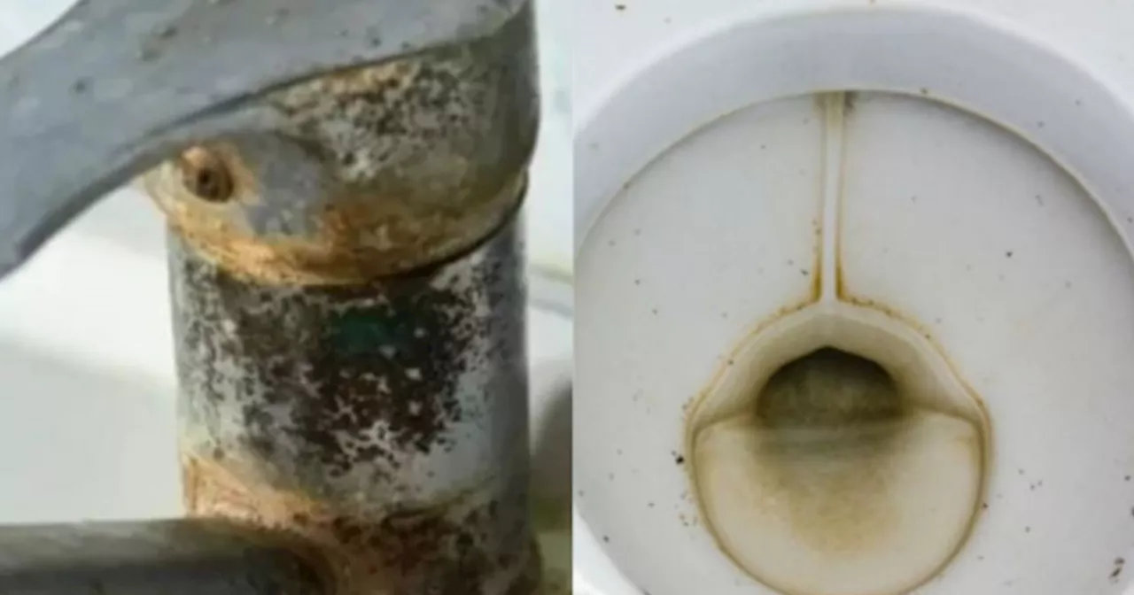 Ni vinagre, ni bicarbonato: la mejor forma de sacar el sarro de las canillas y del inodoro