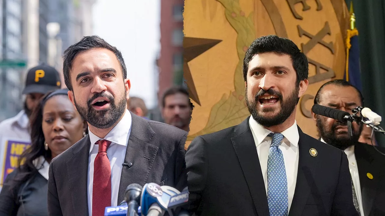 Zohran Mamdani campaign aficionado gets behind top 'Squad' member's re-election bid: report