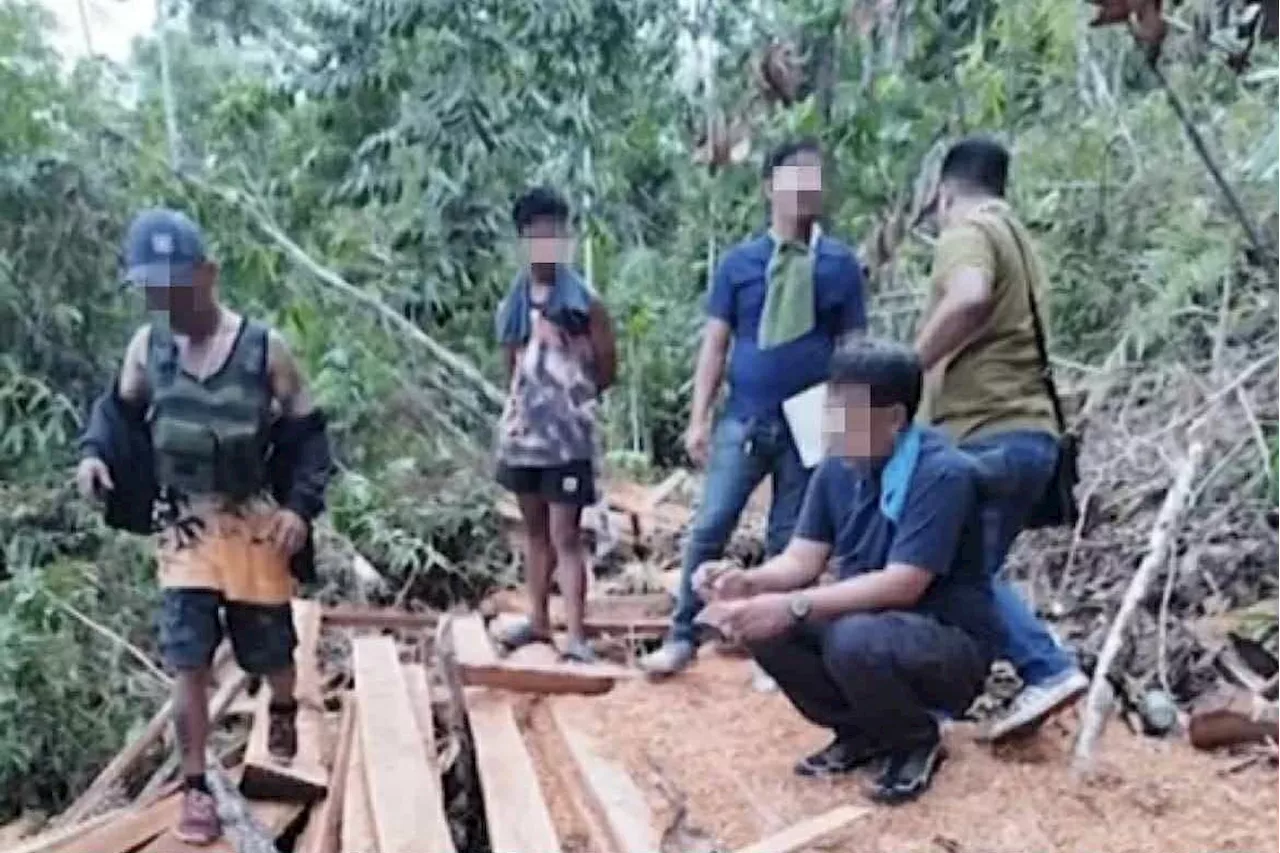Authorities seize hardwood from alleged illegal logging site in Agusan del Norte