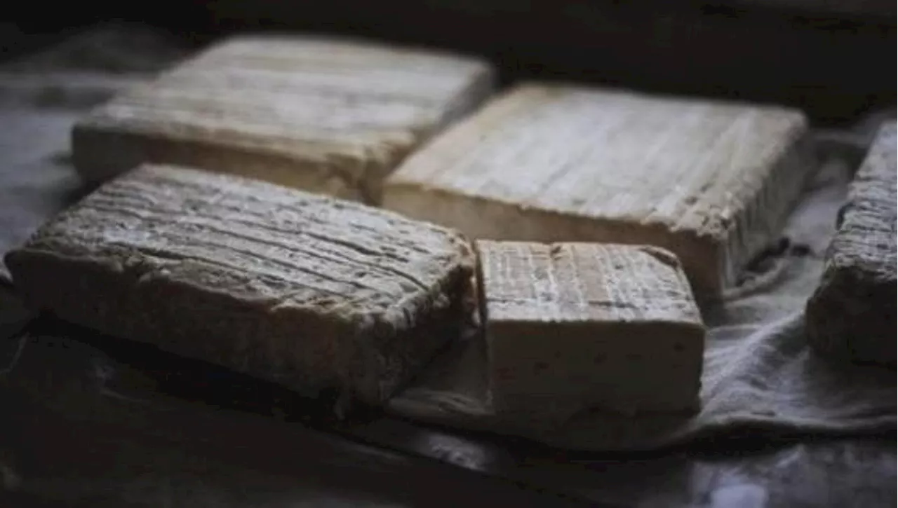Formaggi a latte crudo: rischio zero non esiste. Le preoccupazioni del settore di fronte alle nuove linee guida
