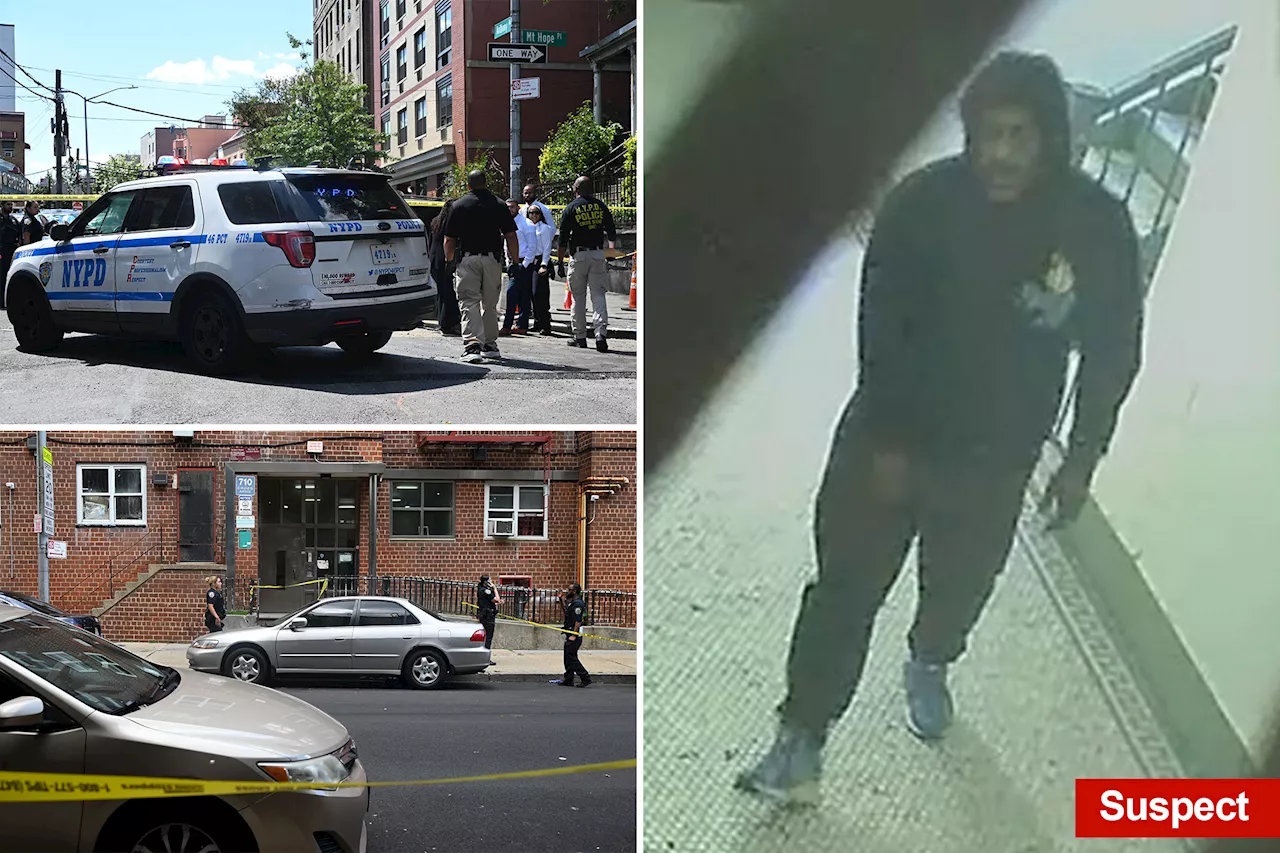 2 dead among 4 shot in 7-hour, broad-daylight stretch of violence in the Bronx: cops