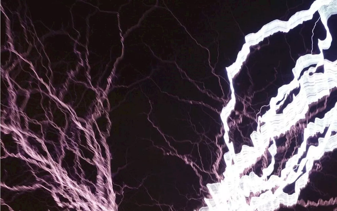 Man dies of electrocution while trapping birds in Pendang, Kedah