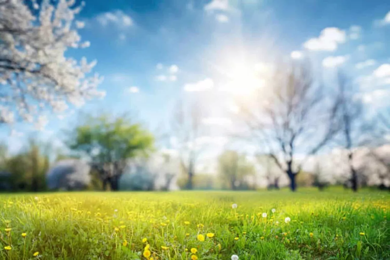 Spring Fiesta Is Here: South Africa Prepares for Warmer Weather and Windy Days