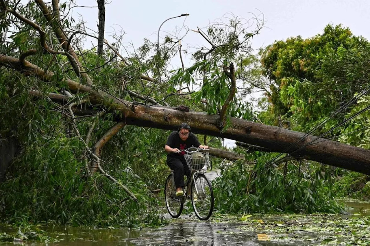 Typhoon death toll rises in Vietnam as downed trees hamper rescuers
