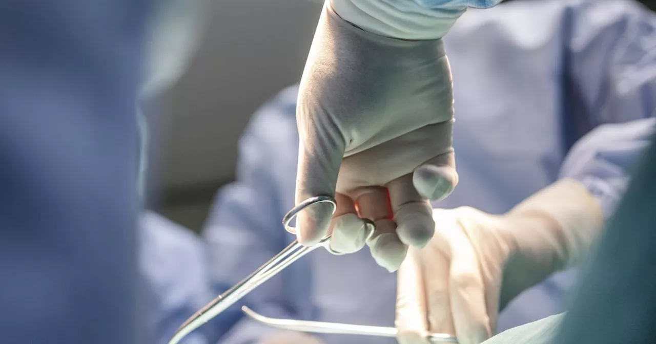 Kostenlose Aortenaneurysma-Screenings in Tirol: Gefäßforum startet Vorsorgeinitiative
