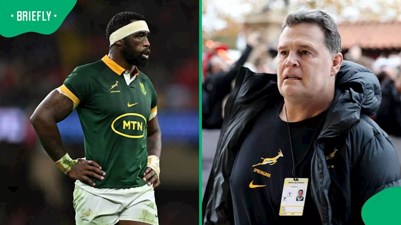 Rassie Erasmus States Why Springboks Are Highly Motivated Ahead of Facing All Blacks