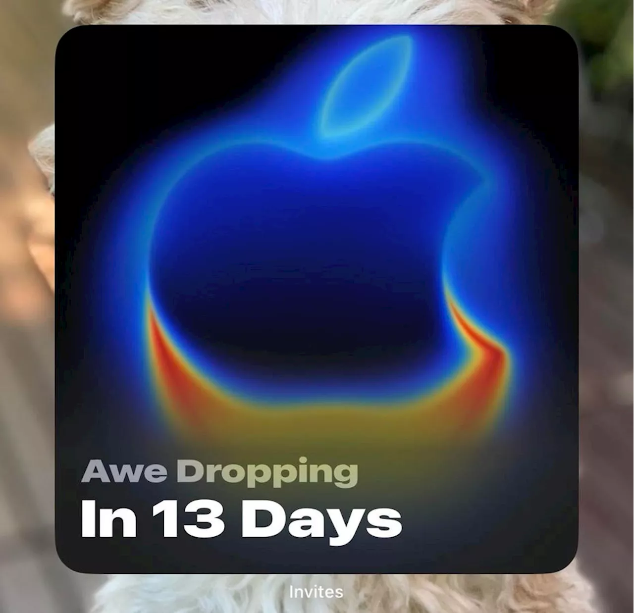 iPhone 17 Release Date: Apple Unveils All-New Way To Keep Track