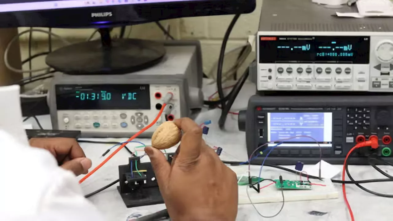 Tiny generator turns waste walnut shells and water droplets into clean electricity