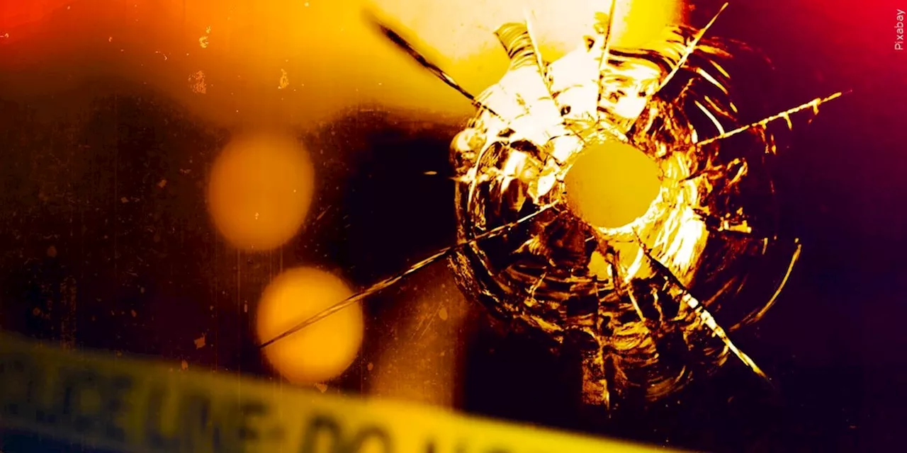 Man Arrested After Shooting at Fairbanks Police