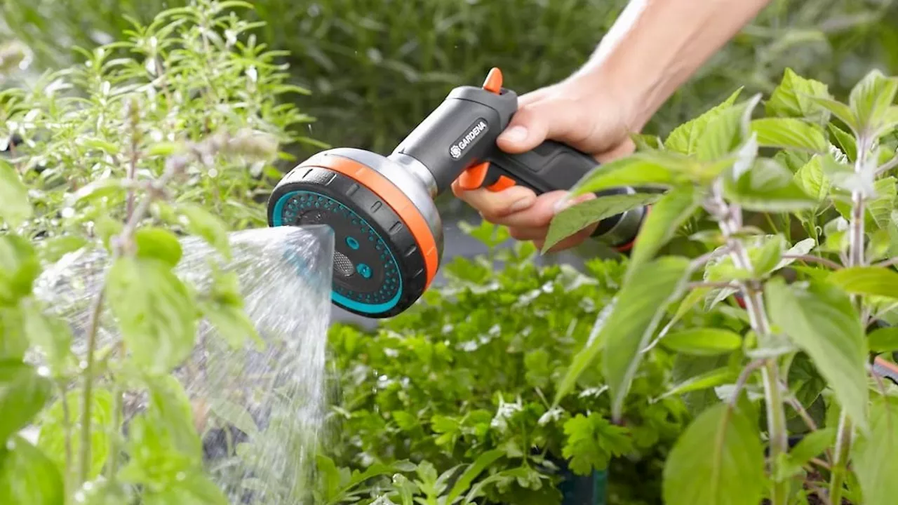 Spritziger Preis: Gardena lässt bei Amazon Rabatte sprudeln