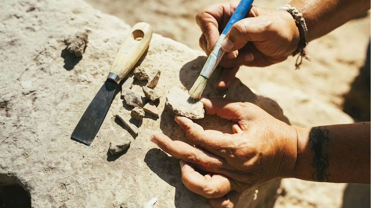Archéologie : découverte fortuite à Heusden-Zolder (province du Limbourg) d’un site datant de 7500 avant J.-C.