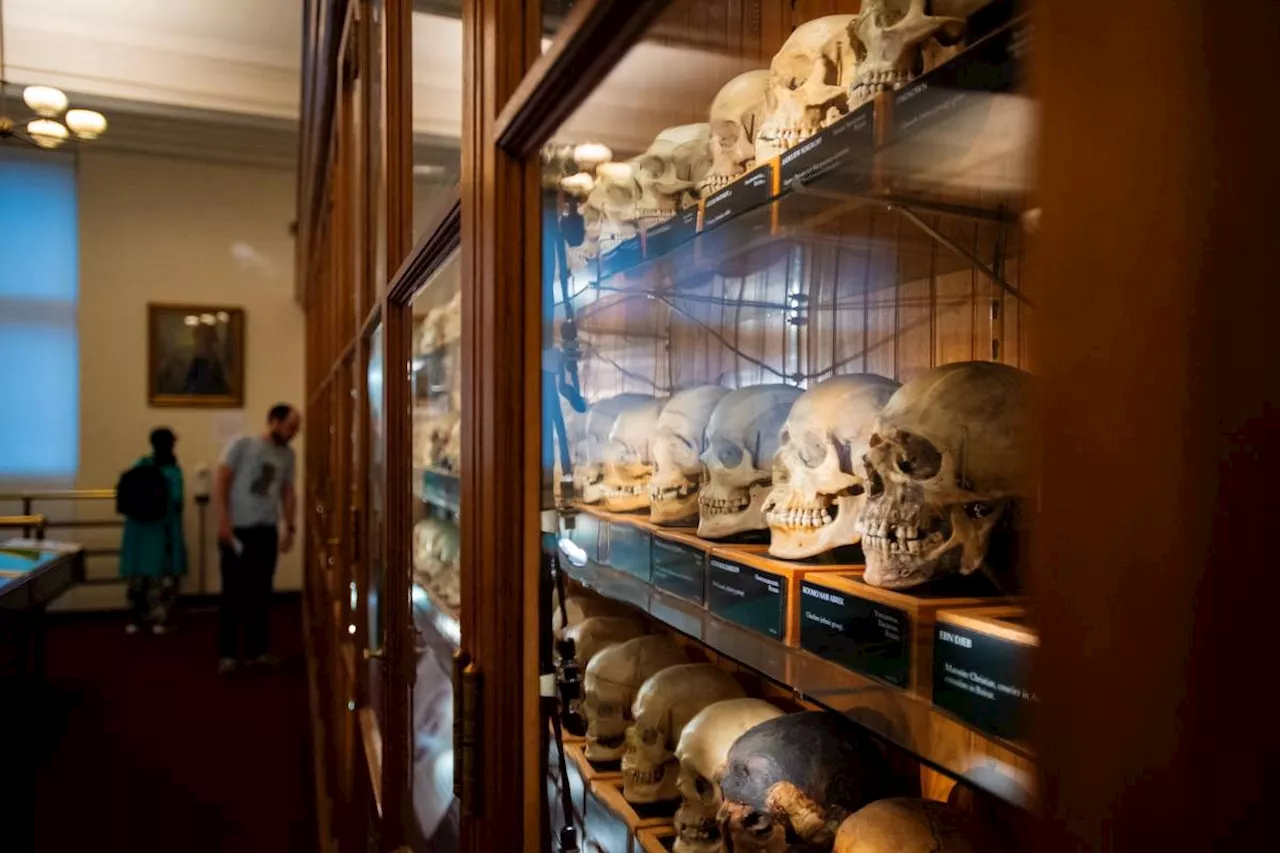 Unnamed skeletons? US museum at center of ethical debate