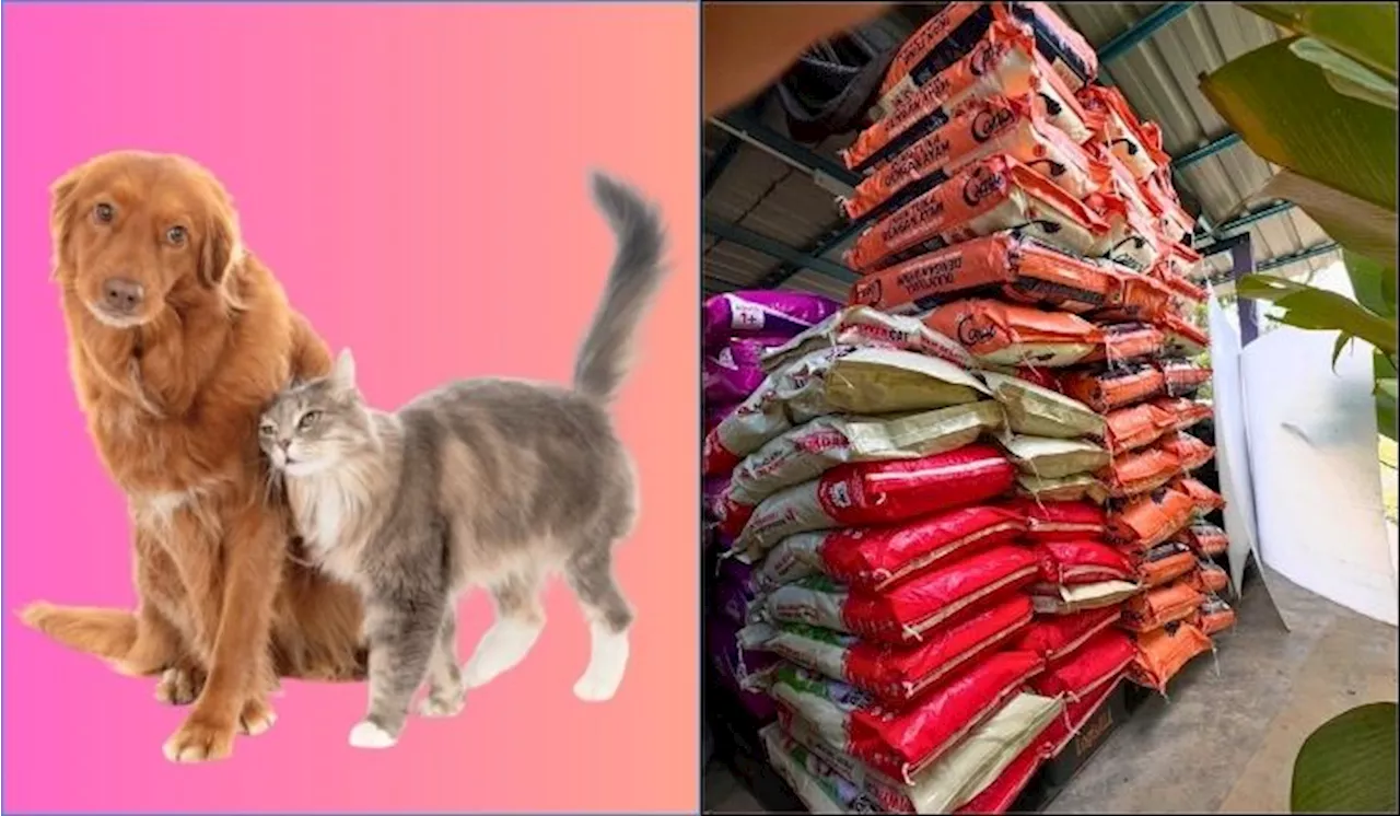 Got Spare Change? Here’s How To Help Animals In Need With Your RM100 SARA Aid