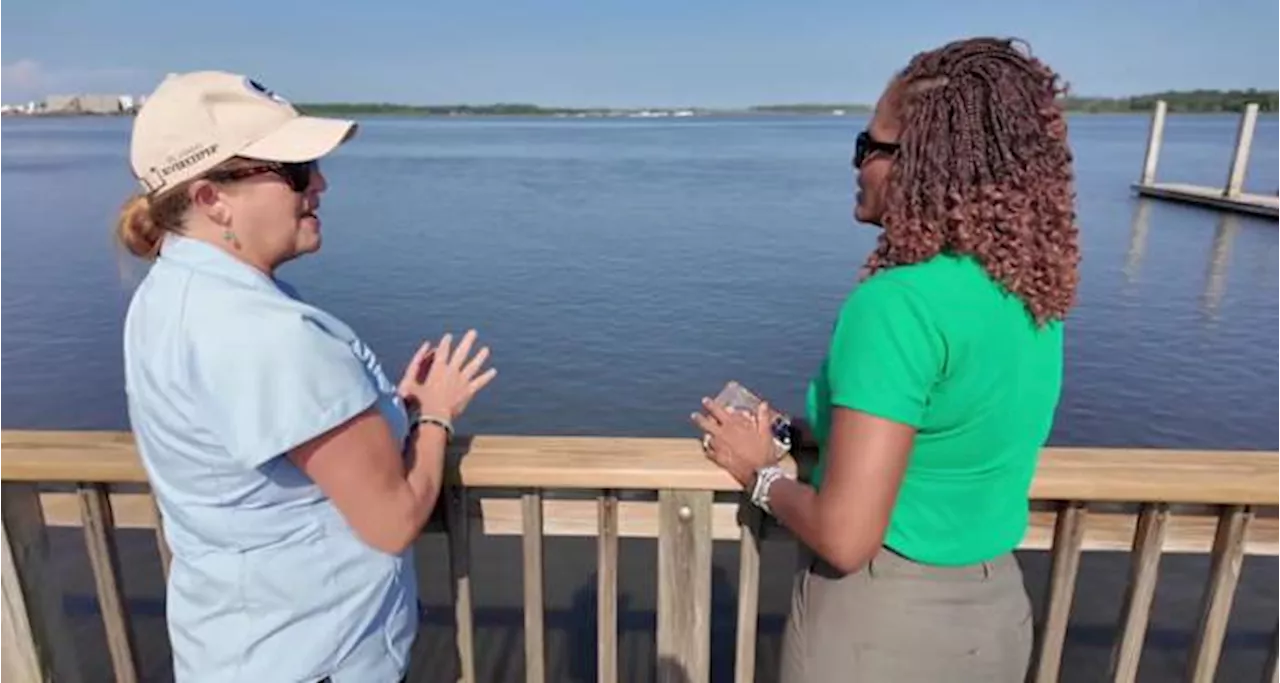 From recreation to property values: How the St. Johns River shapes life in Arlington